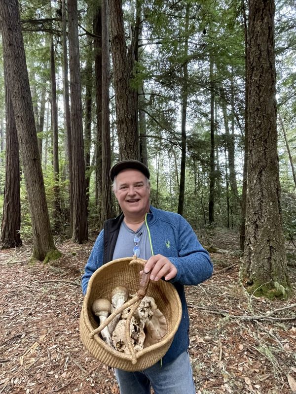 A guest learning to identify mushrooms on a guided walk