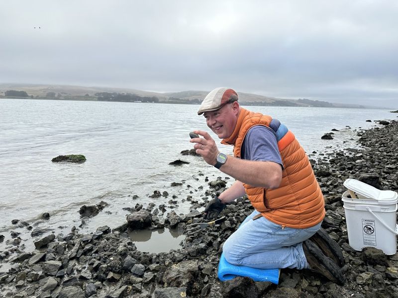 Digging clams on the bay flats at low tide
